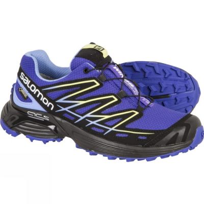 Zapatillas Running Salomon Wings Flyte GTX Mujer Moradas - Chile WAL359071